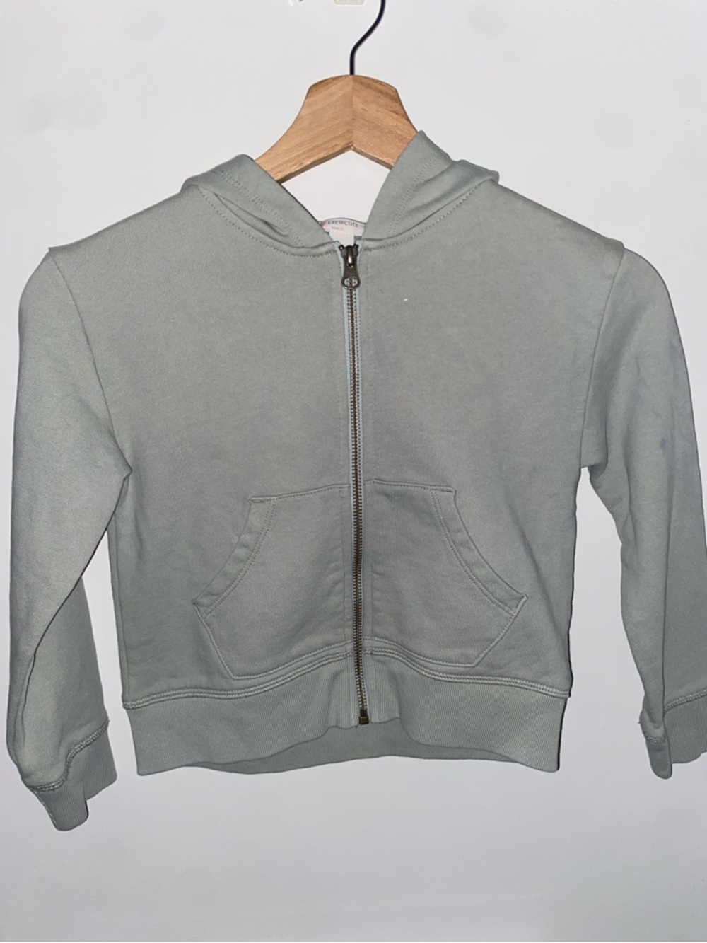 Kids Jcrew Full-Zip Hoodie in Sage Green